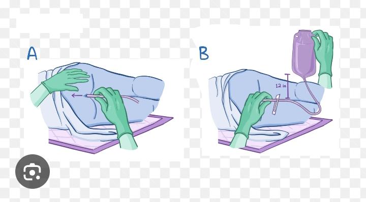 Enema (Anima) slide 1